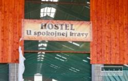 hostel u spokojnej kravy