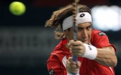 david ferrer