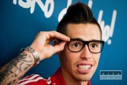 hamsik