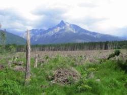 tatry