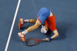 andy murray