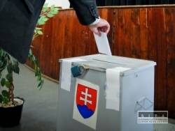 referendum urna volby