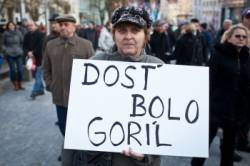 dost bolo goril