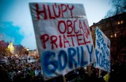 druhy protest proti gorile