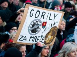 protest gorila iii