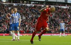 martin skrtel