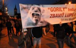 protest gorila v presove