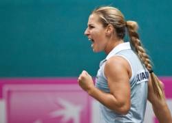 dominika cibulkova pauline parmentier