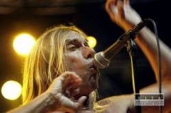 iggy pop