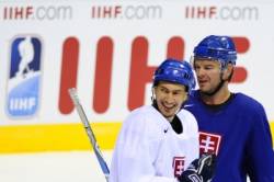 miroslav satan