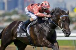 black caviar