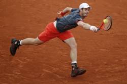 andy murray