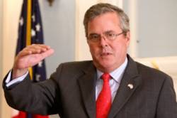 jeb bush