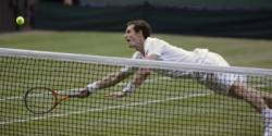 andy murray