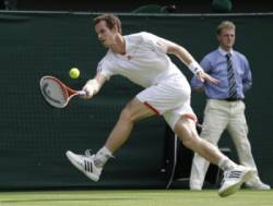 andy murray