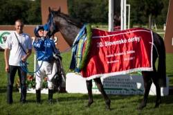 dvadsiaty rocnik slovenskeho derby