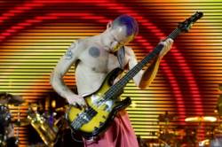 flea rhp