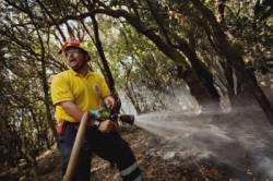 hasici bojuju s poziarmi v spanielsk