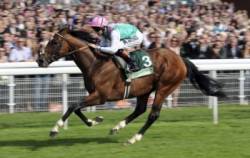 frankel