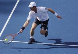 andy murray