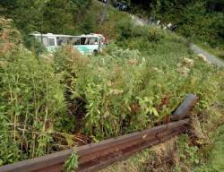 autobus havaroval pri zostupe z polany