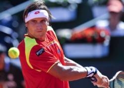 david ferrer