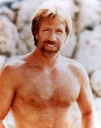 chuck norris