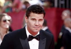 david boreanaz