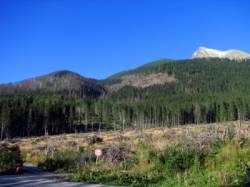 tatry