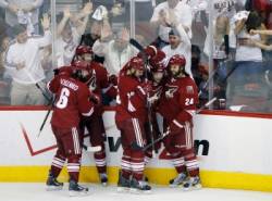 phoenix coyotes