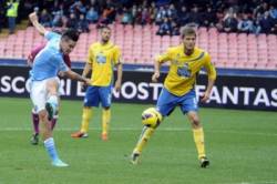 hamsik