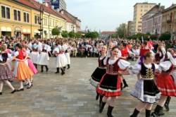 kocice kultura tanec