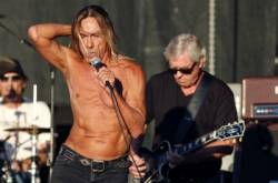 iggy pop