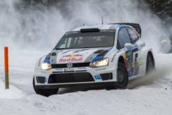 ogier