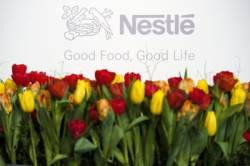 nestle