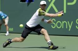 andy murray