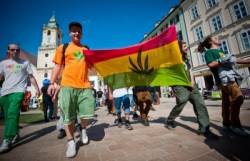 bratislava million marihuana march