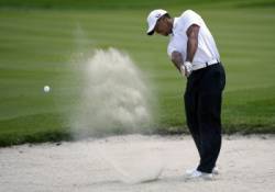 tiger woods