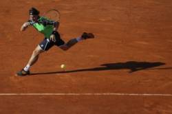 david ferrer