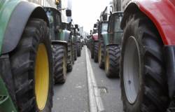 mliekari prisli do bruselu na traktoroc