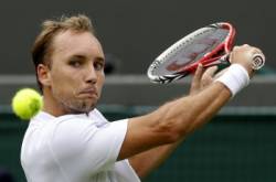 steve darcis