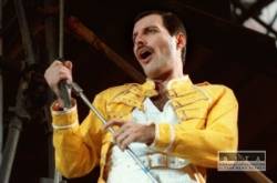 freddie mercury