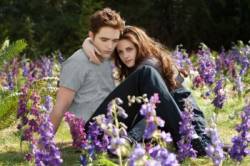 pattinson and stewart