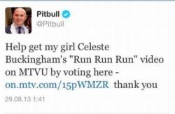 pitbull