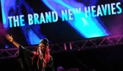 the brand new heavies