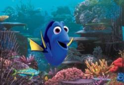 dory nemo