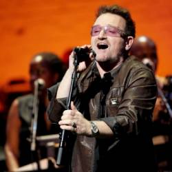 8 bono vox