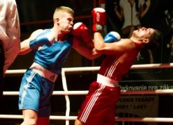 majstrovstva slovenska muzov v boxe