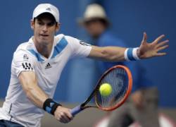 murray