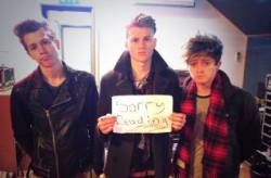 the vamps